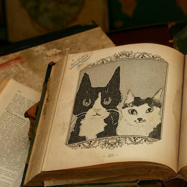 479f3e4a 54b3 475d b8e6 d3165b5de856 1526822365393