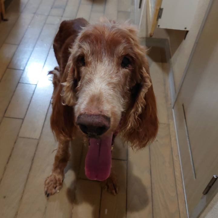 479f499f 95c6 4870 8dae 417b0b02d8a7 1726387151505