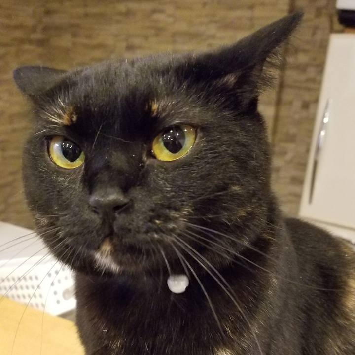 479f546d 1777 4ab6 ad02 a890c261c855 1523446994863