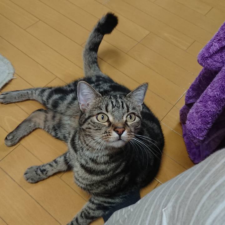 479f5b6e 5d9e 4250 9c99 d47a039a0eb6 1549542059142