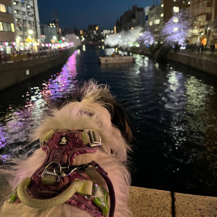 479f67b6 4f57 4a9f a8a0 00943e709796 1775219971365