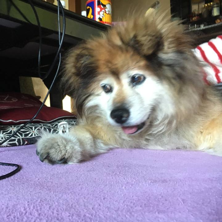 479f72ea 8252 48fc 87e3 9e3bc93a4372 1564146399919