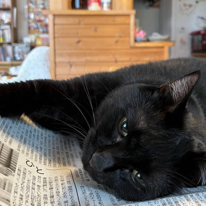 479f77c9 1ab8 4ab1 b345 b7655832b26a 1697406600034