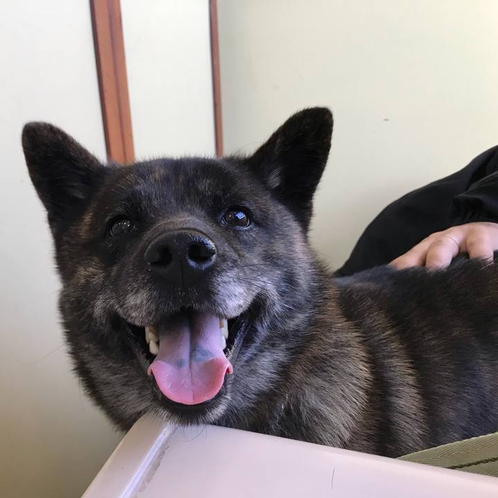 479f8154 c977 4aea bf1d 309508f895f3 1556746749788