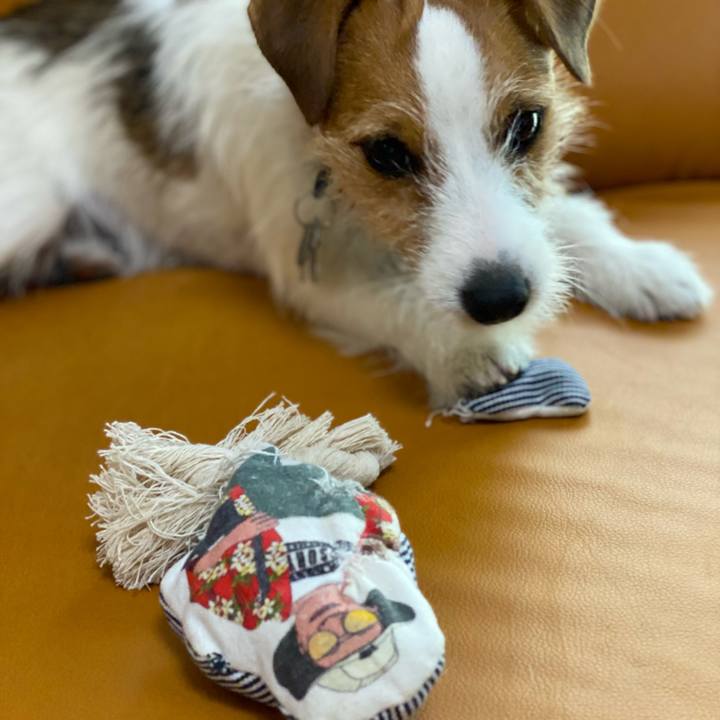 47a011ac 07a0 4c20 afc1 5135d12cded6 1651897837426