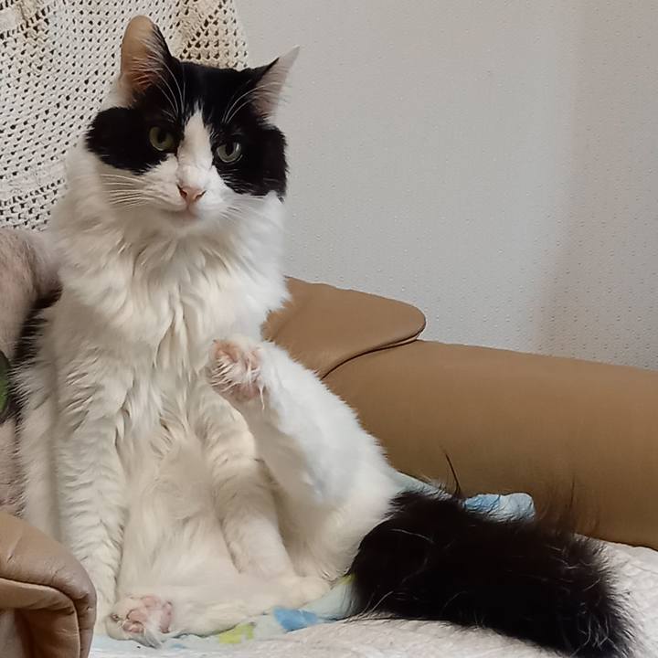 47a04f4a 623a 4d0b 8333 0ba916fc1c51 1648164643116