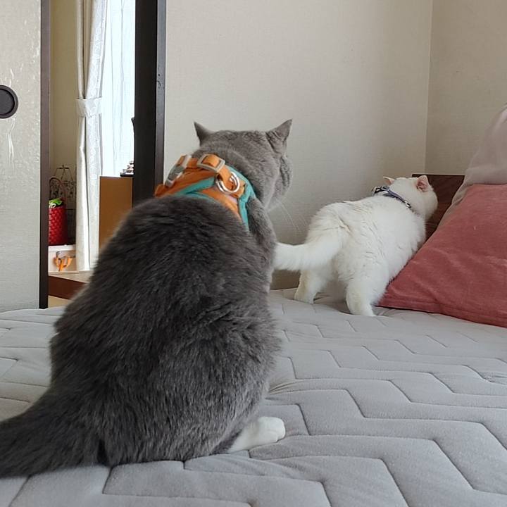 47a063f4 cc01 4930 be05 f06b4d5b7eb6 1653693506707