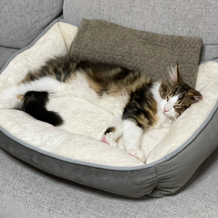 47a0712f 25dc 49b7 b02d 6eba677eba03 1635589289876