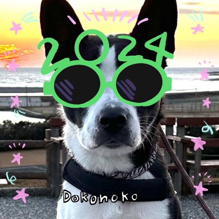 47a09d4e 0bad 4643 81e0 c9ffb8ee4cc7 1704344531914