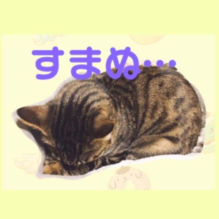 47a0abd3 7edc 4e47 b93b aa83dc723fda 1542927924397