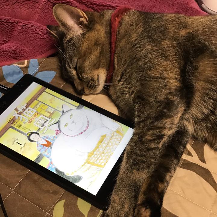 47a0be8a e7b6 45db 824e 0bc56e99ffb4 1603417000189