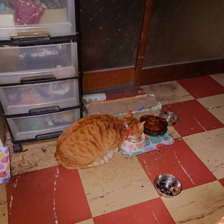 47a0c57d 522b 4eb5 8fc0 4998152eb881 1576873977795