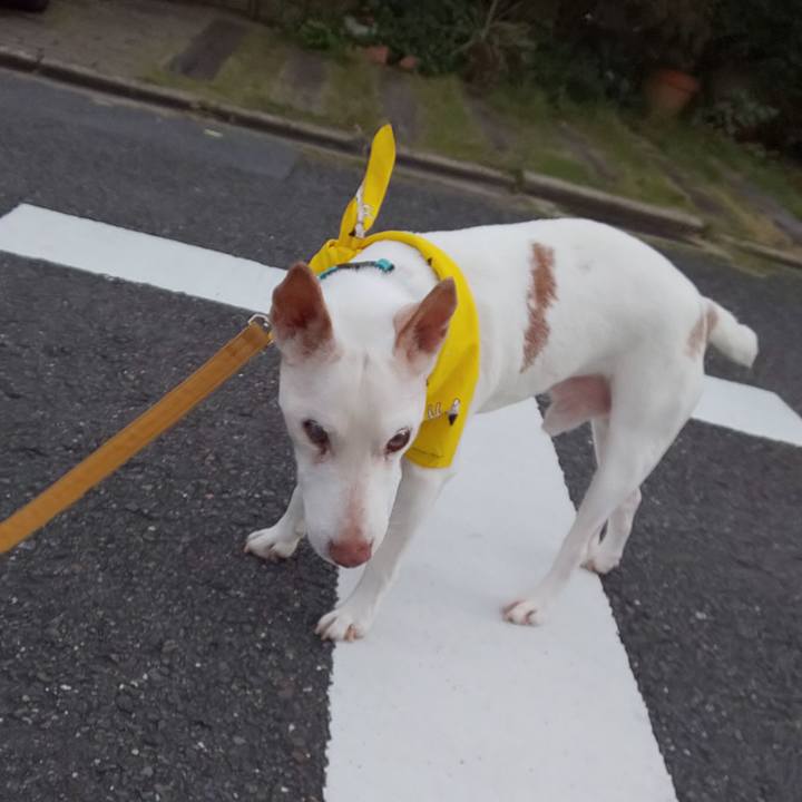 47a11c4d f59a 4557 9aae 48ff22d9a250 1541021732451