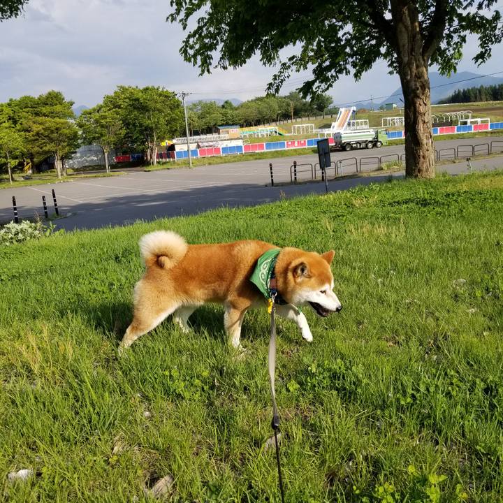 47a11f4c 5c02 4698 8f9d 41c3b0831a2a 1557991664584