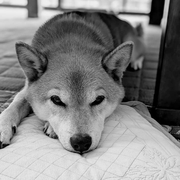 47a1278f 9a87 4883 8a9f 517e433500aa 1721345798262