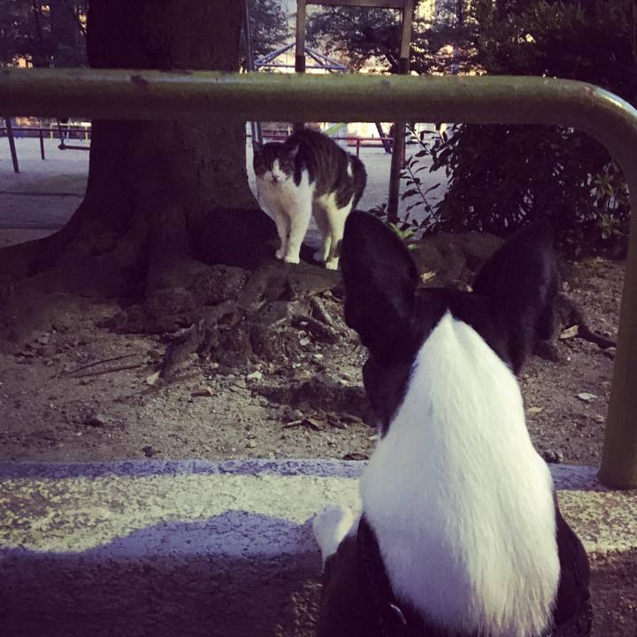 47a14c14 83ea 45ff 9ec8 233ae8d9259f 1532582516927