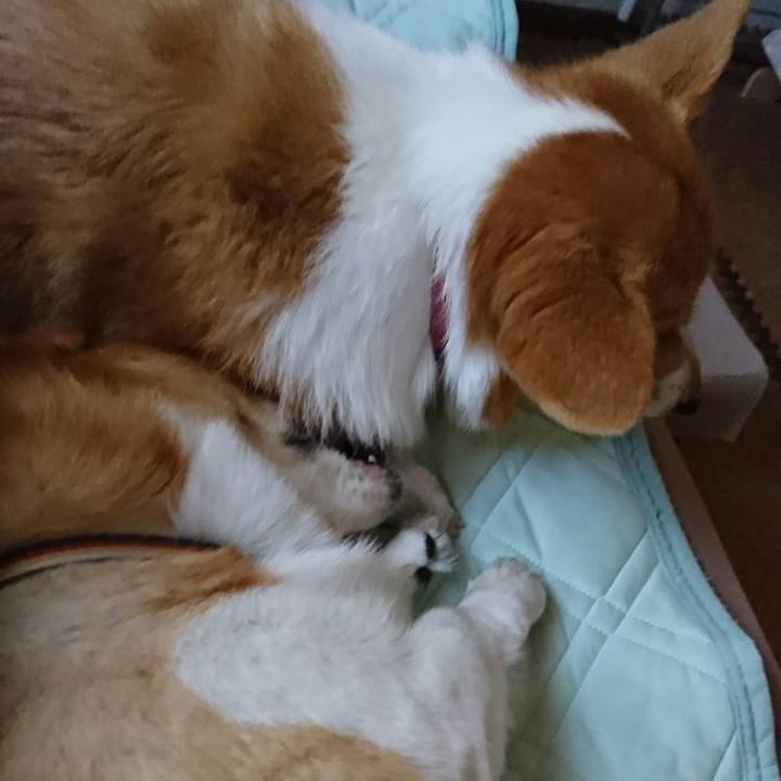 47a1bbaf c613 4ff4 bb69 3c11282f3e47 1534918955209