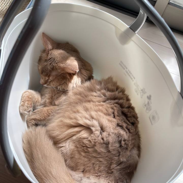 47a1be09 bd20 4fb8 9a93 8d8e0f3bff2e 1758596174773