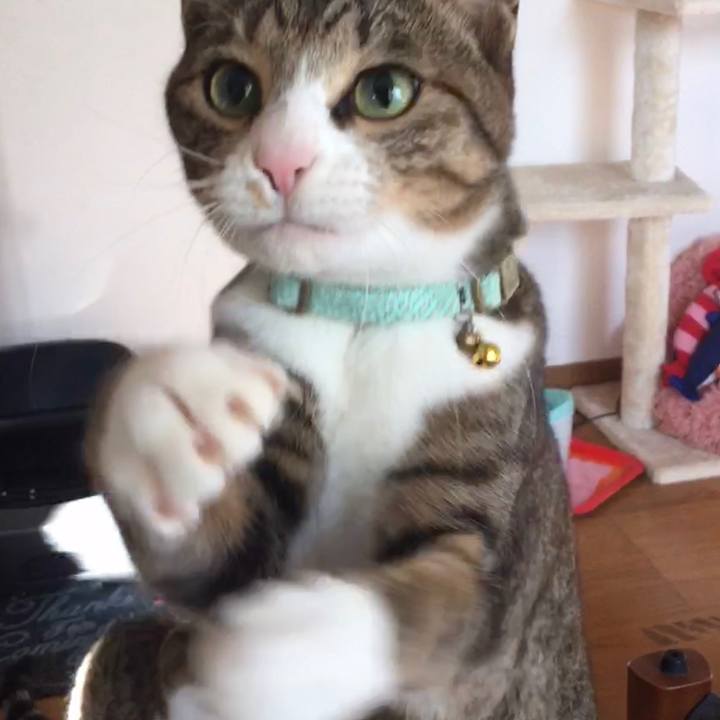 47a2029c e2b7 4b0f 8d7b ebba27bca6d7 1697797285602