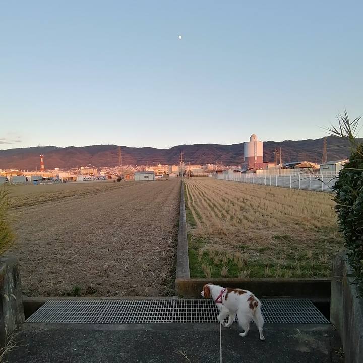 47a205d1 0ab6 40df 929f 398000b542cd 1608971841076