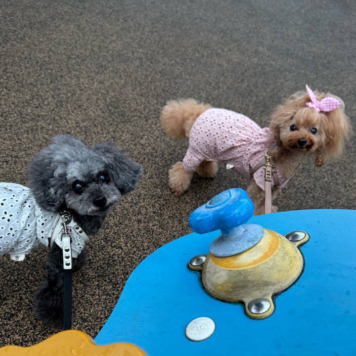 47a241e3 27f3 4f75 9f12 ac007589c15f 1757199513330