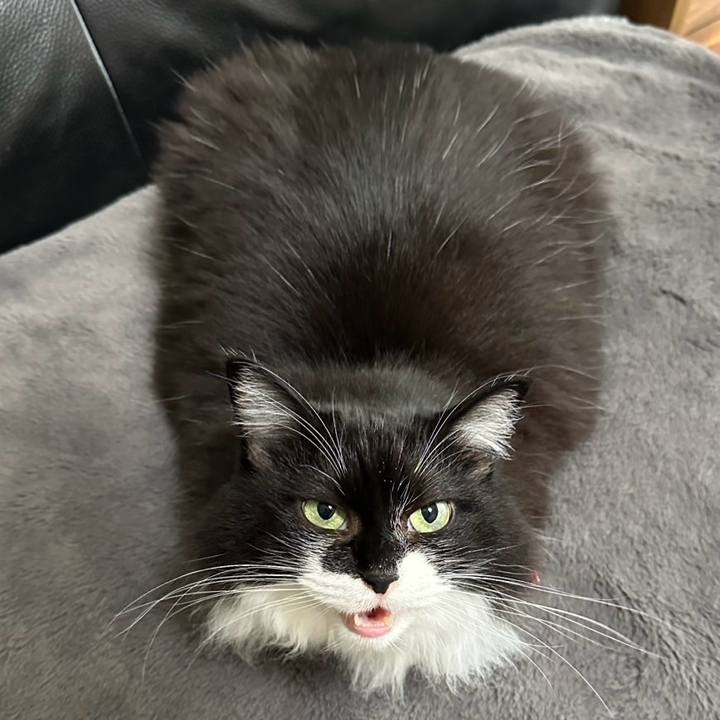 47a247c1 c8c4 4ca9 9518 a35d087cb9c8 1763516519436