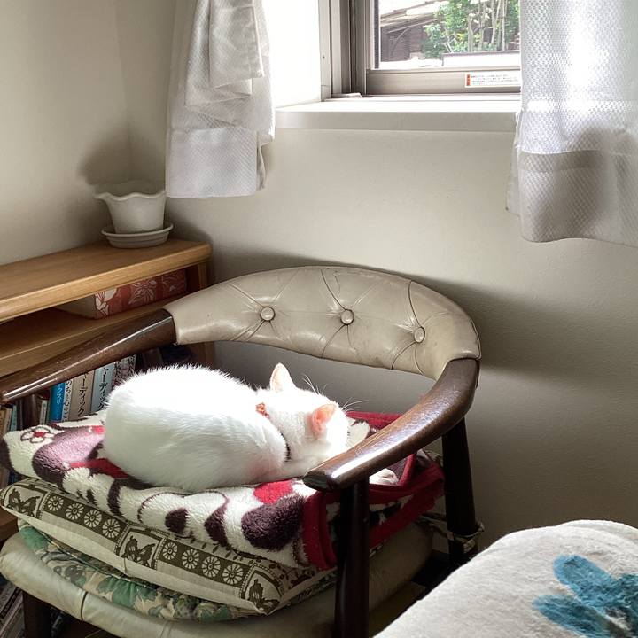 47a24cfb 4dca 4ab2 9100 477b1adadd09 1685251268378