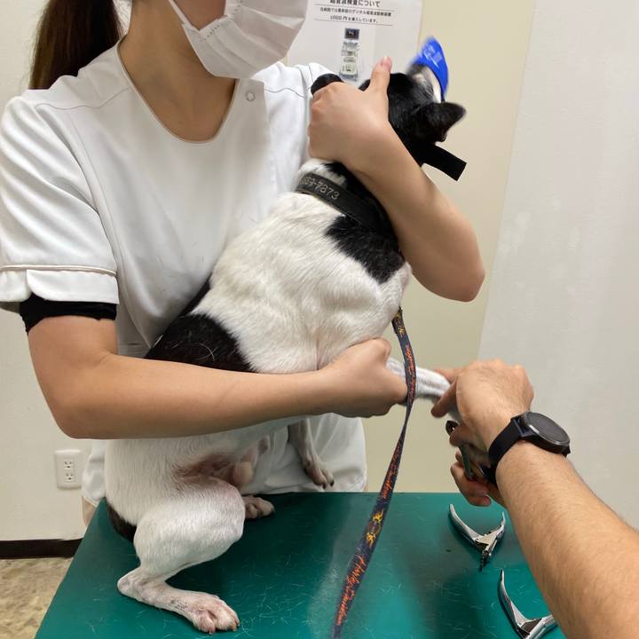 47a25c1a 31c9 4ce6 a128 50d9fe29085b 1603501421958