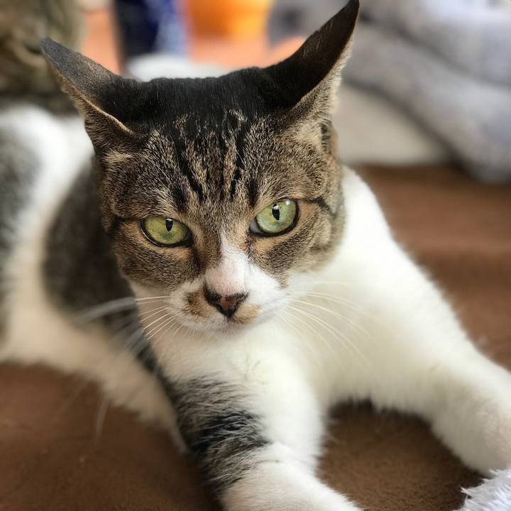 47a25cce bf56 4989 bfdf 2ab0c4a00b9d 1509930642868