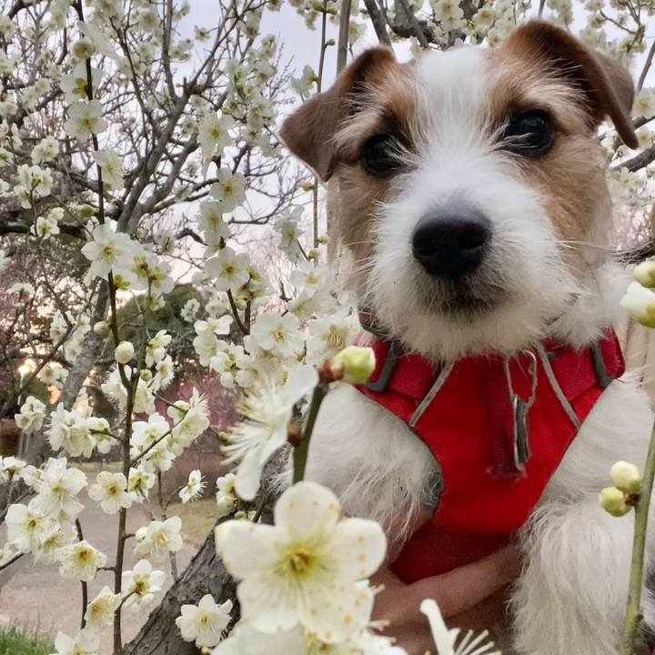 47a25f73 c58a 4b31 9763 cc8d5b300772 1741437093656