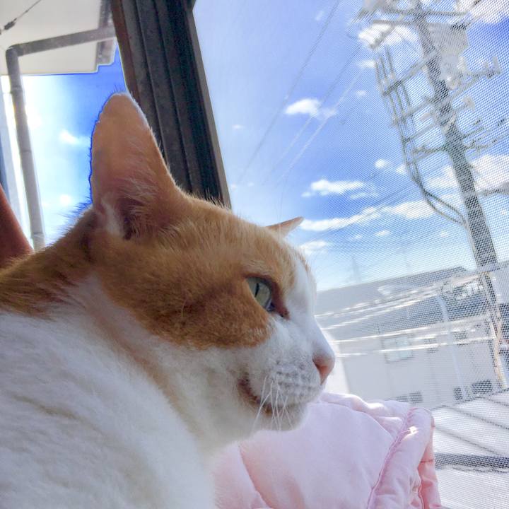 47a28221 abd2 4c3b 92c0 95abf2884849 1569465919342