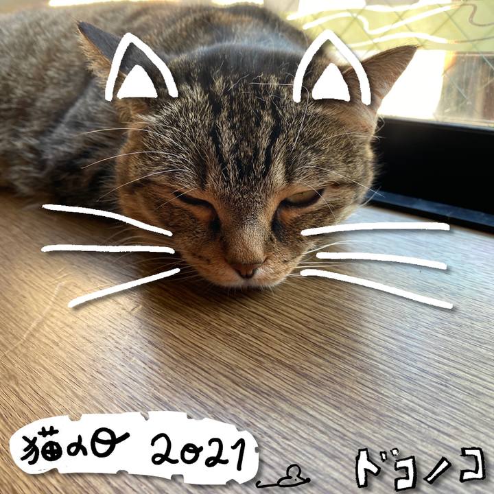 47a2b96c d7bc 4572 945d 213294918d44 1613977021502