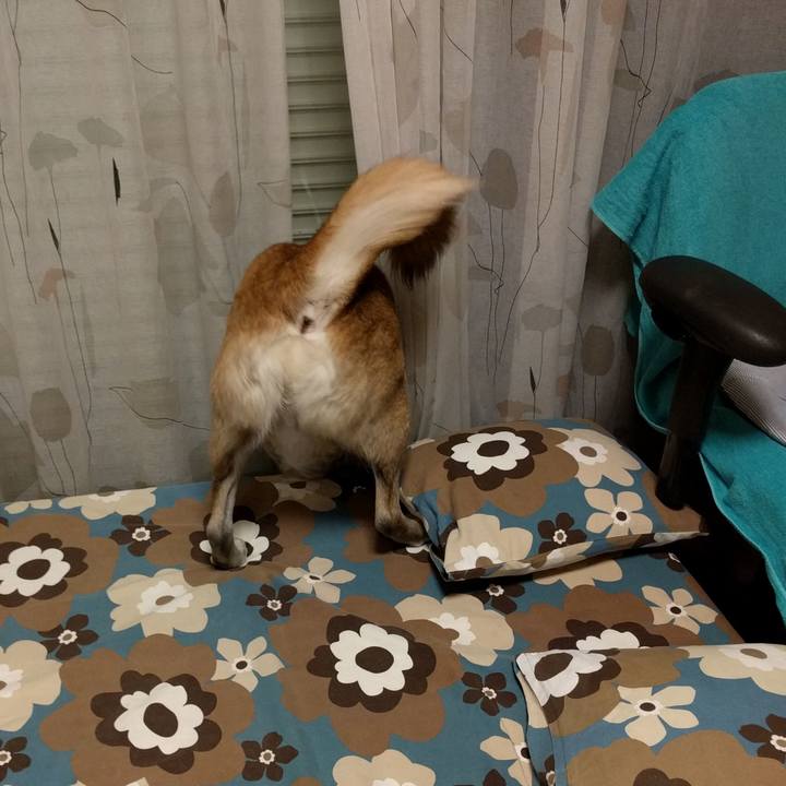 47a2c3b6 7504 4742 8567 dccbed738ed8 1711239970167