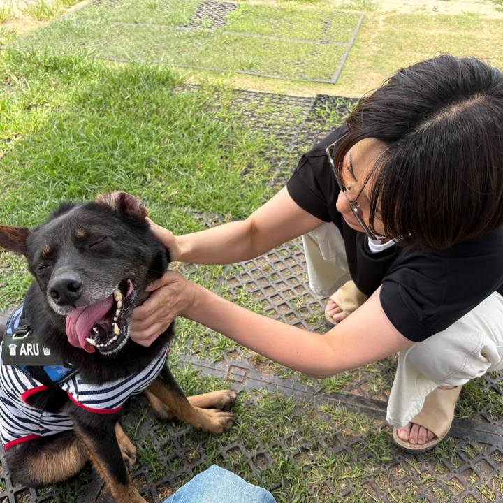 47a2fa44 b53a 4b3c 89b7 f7c659283ae8 1767064653447