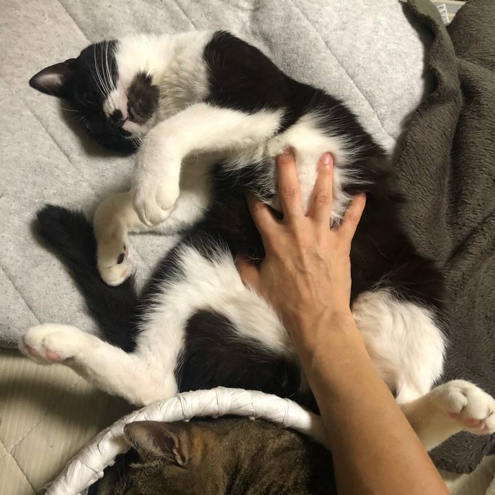 47a36e16 6304 41cb 93d3 0d8290f4bec6 1596398878659