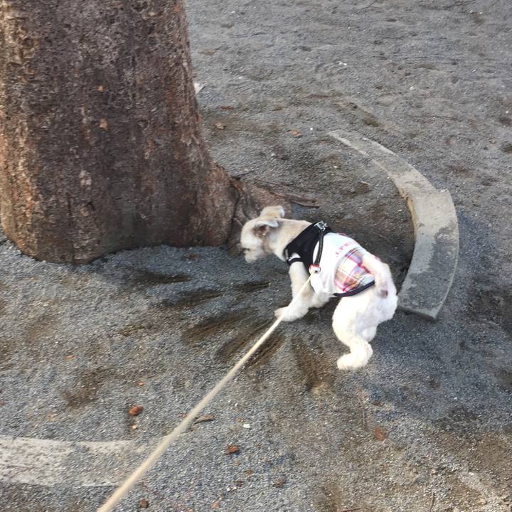 47a36f49 c586 41de 8291 063c4b699e74 1533945018695