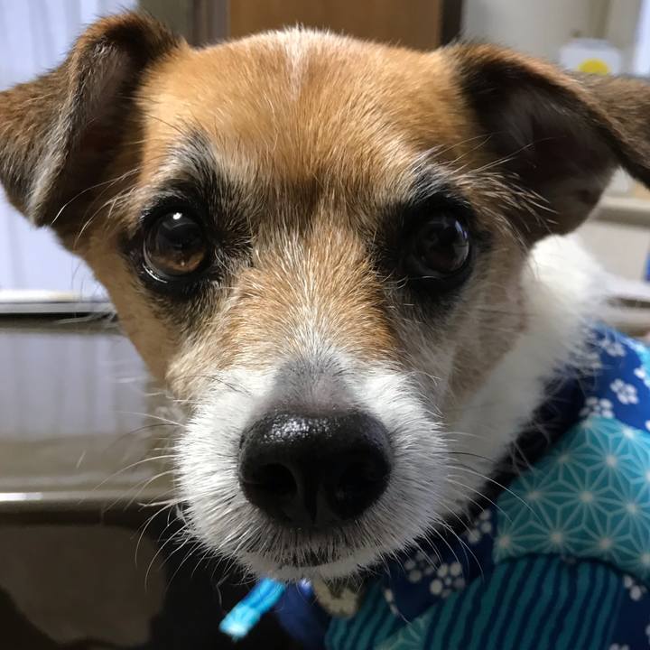 47a380c9 e01c 4676 8f9b 81d2dc569506 1551826504191