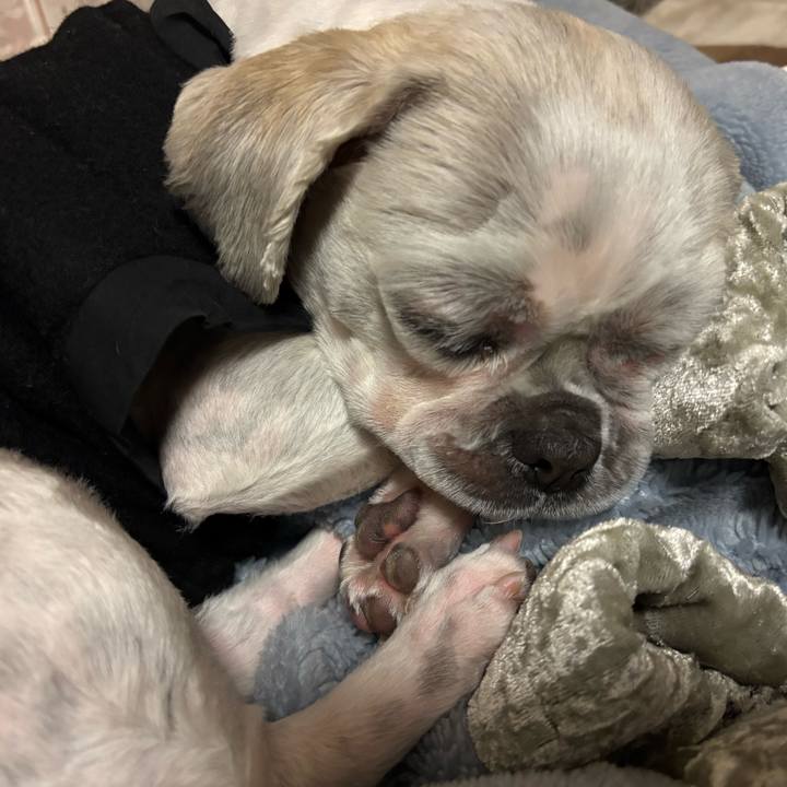 47a39b16 e2d5 4a2a a95f 3e14f6070f76 1765403420645