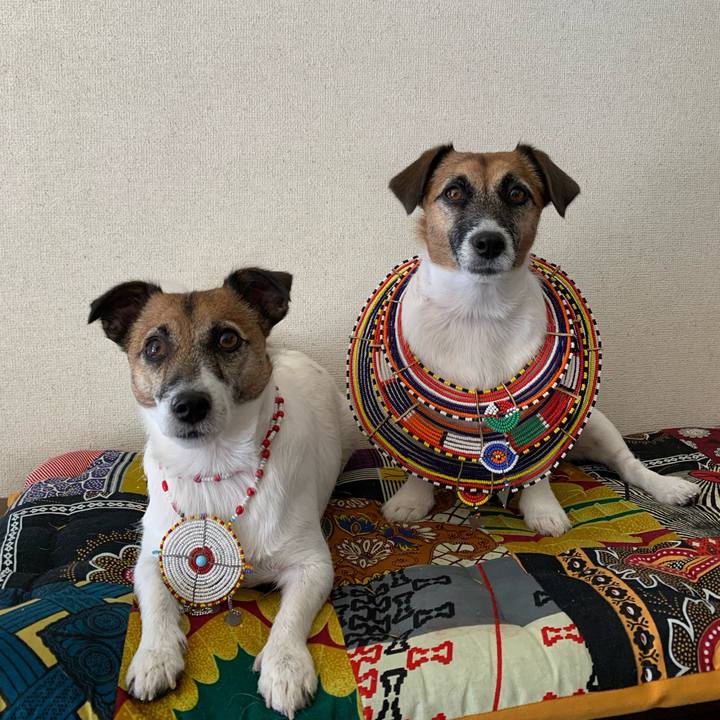 47a3c9ea 94dc 4863 8474 db60321d33ae 1635571116391