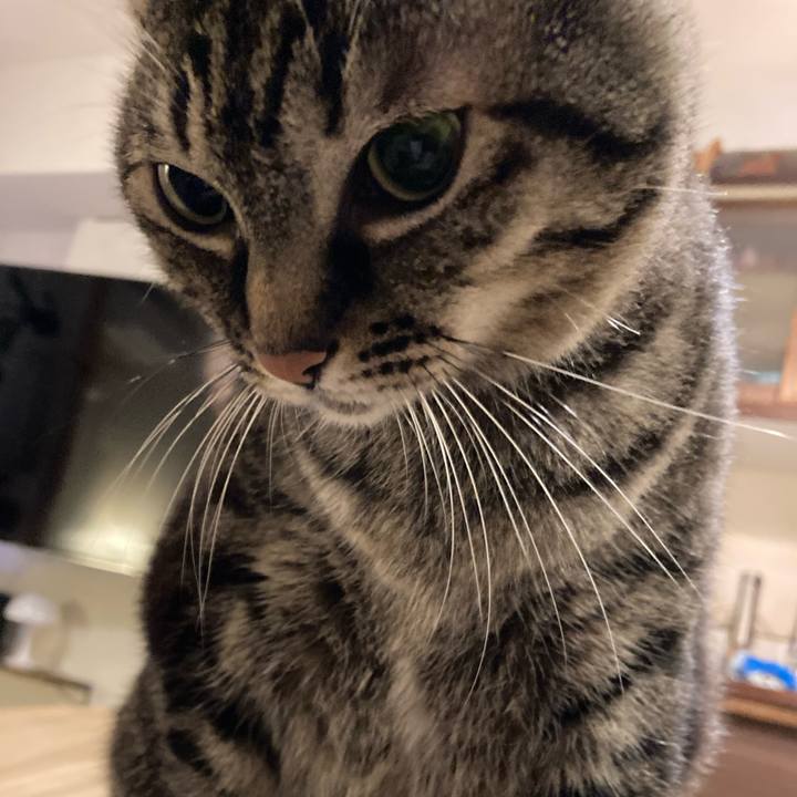 47a3e3b2 a528 40bc be19 1e51550502dc 1666684562281