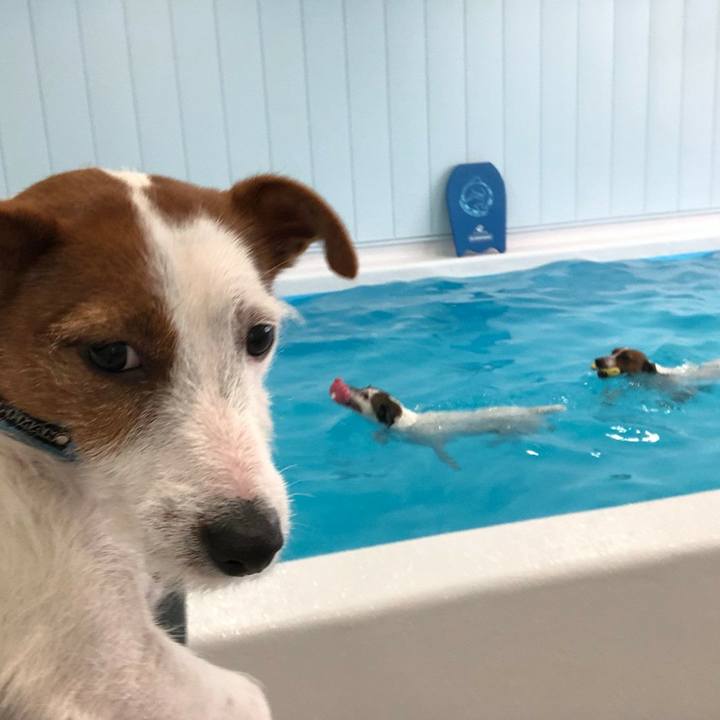 47a4128f a856 4cdc b5b9 ca54c8e77fce 1583584406823