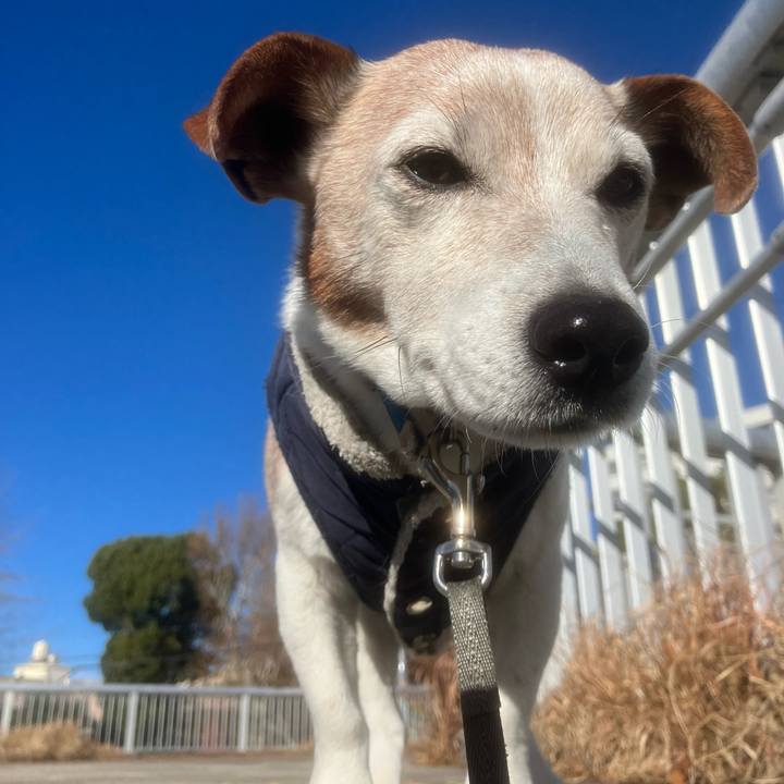 47a4166d db6d 4eb1 a46f 32273cb15791 1766715921548