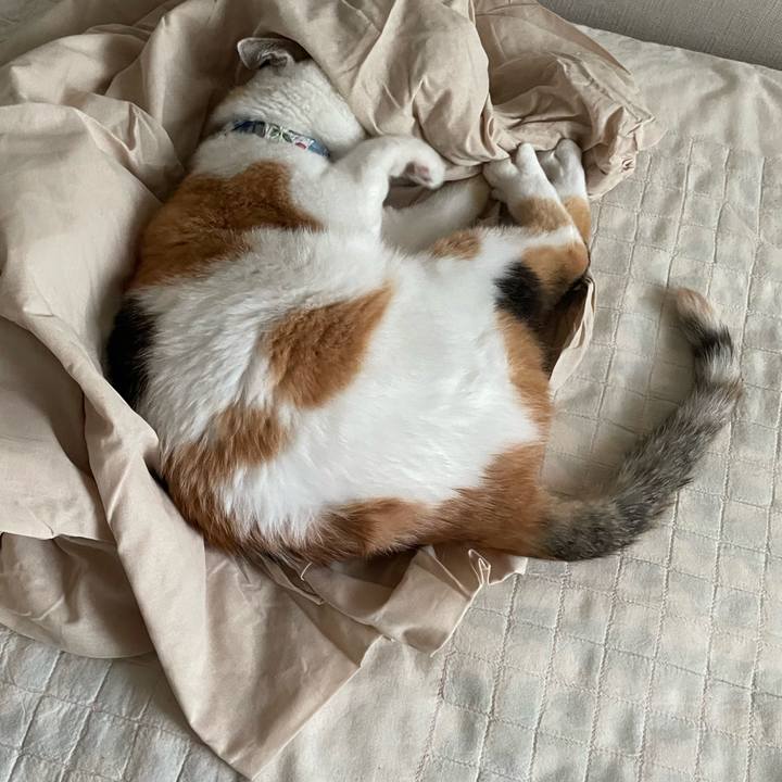 47a41ea8 4f54 464c 88db c95d617f4a35 1718530580738