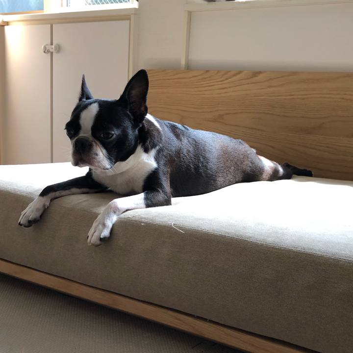 47a430e3 848f 4790 aaf5 52a46806ec94 1598765904599