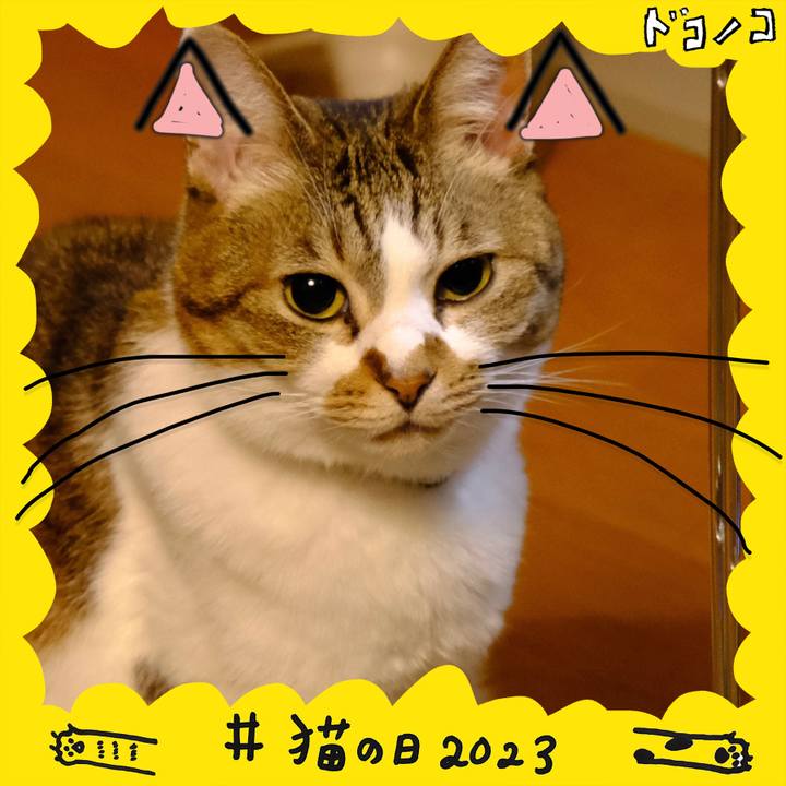 47a43523 2ad5 4727 a4d0 9d9ee3329a9b 1677076550946