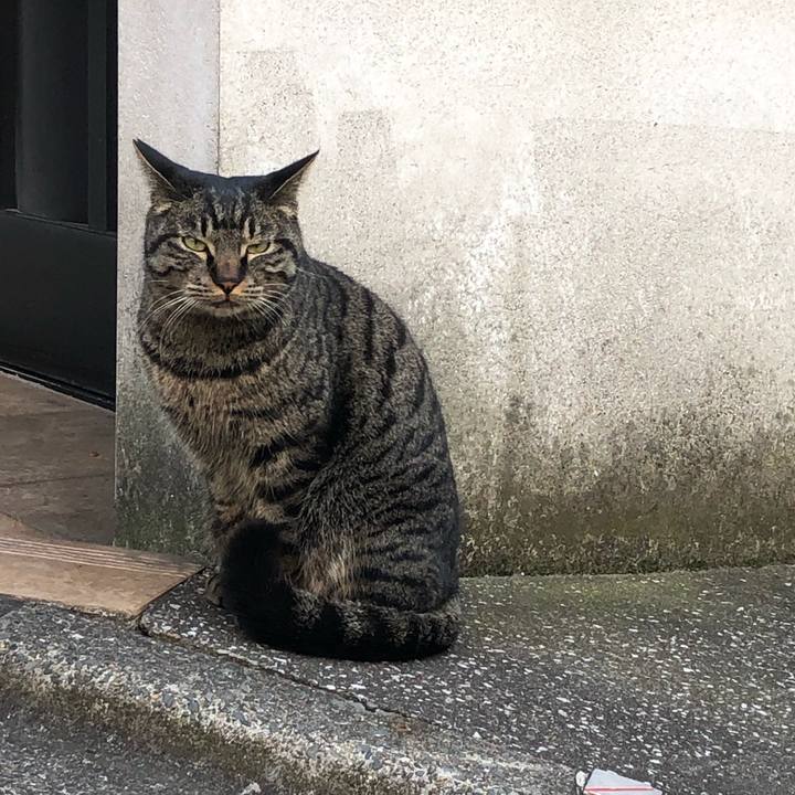 47a43641 6ae8 4957 9a29 cc089caec805 1548307354145