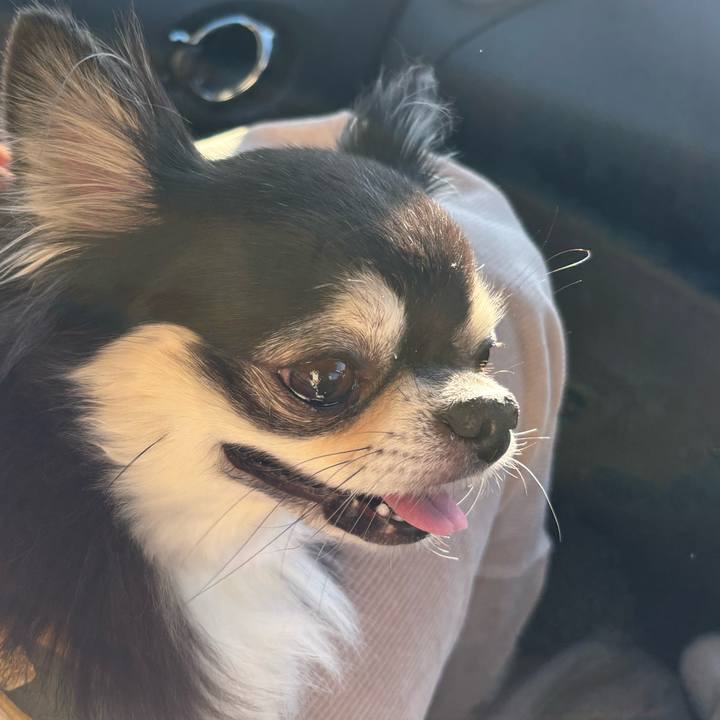 47a439b4 b796 4292 a78f 6503d4b0d6dd 1737218861269