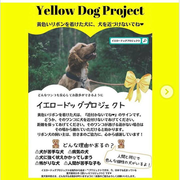 47a476ba c41d 4ded 8043 c1cff8545bb0 1631885453227