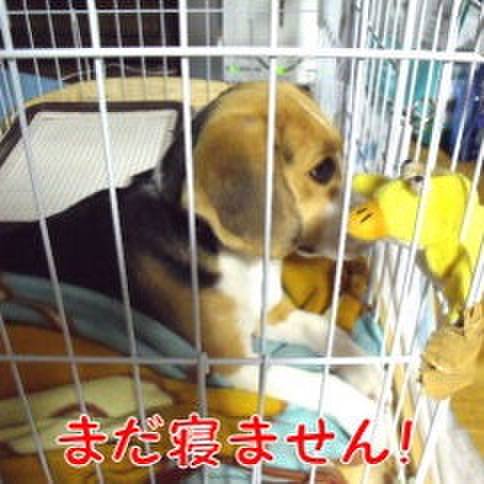 47a4d5d8 0094 47d3 9986 b4e34e54f93c 1682900456361