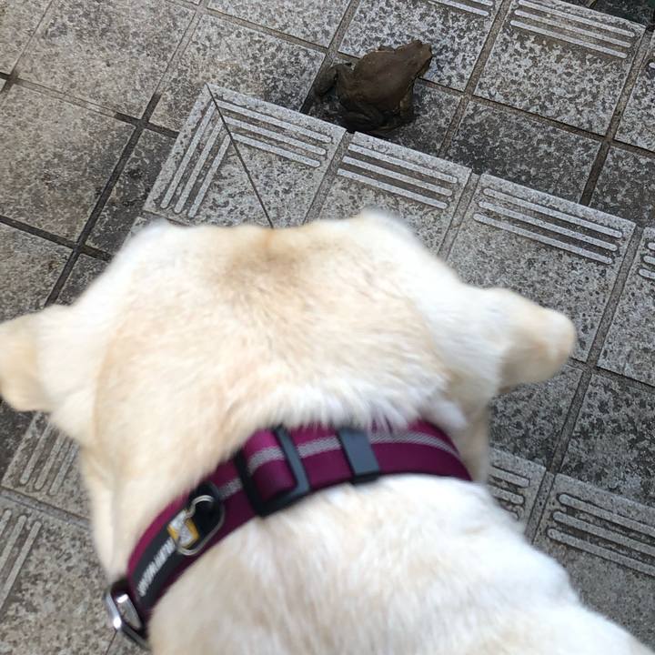 47a4dbea 9175 4793 92cf df85f68ed0ca 1647042161682